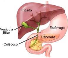 Clinica Zanaga | Ortopedia Gatroenterologia Cirurgia Geral